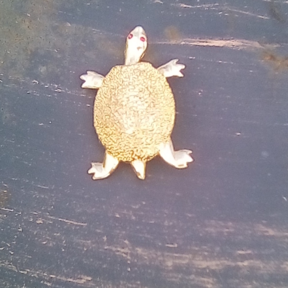 Gold tone 🐢 - Picture 2 of 4